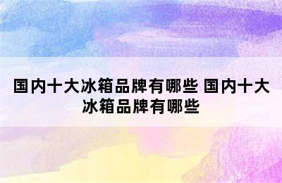 国内十大冰箱品牌有哪些 国内十大冰箱品牌有哪些